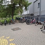 Rowerowy maj - finał